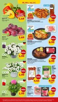 Blumen im Penny Prospekt "Wer günstig will, muss Penny." mit 46 Seiten (Stuttgart)