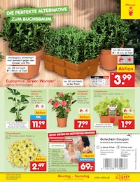 Pflanzen Angebot im aktuellen Netto Marken-Discount Prospekt auf Seite 15
