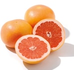 Grapefruit für 0,69 € bei Netto mit dem Scottie im Angebot Grapefruit im aktuellen Netto mit dem Scottie Prospekt
