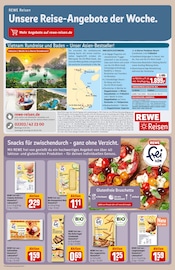 Mais im REWE Prospekt in Oldenburg Aktueller REWE Prospekt mit Mais, "Dein Markt", Seite 17