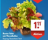 Bunter Salat mit Wurzelballen bei ALDI SÜD im Monsheim Prospekt für 1,11 €