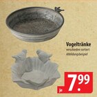 Vogeltränke im Angebot bei famila Nordost in Falkensee Vogeltränke Angebote bei famila Nordost Falkensee für 7,99 €