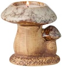 Aktuelle Kerzen Angebote bei Rusta in Lübeck Aktuelles Pilz-Kerze aus Keramik Angebot bei Rusta in Lübeck ab 1,99 €