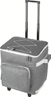Einkaufstrolley mit Kühlfunktion Angebote von TOPMOVE bei Lidl Erfurt für 19,99 €