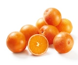 Promo Oranges à dessert à 0,99 € dans le catalogue Lidl à Vénissieux