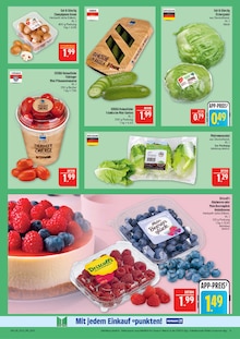 Pilze im Marktkauf Prospekt "AUSWAHL RIESIG, PREISE NIEDRIG" mit 44 Seiten (Leipzig)