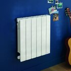 Radiateur électrique à inertie fluide Sauter Orosi 1000W - Sauter - Castorama à Aix-en-Provence Radiateur électrique à inertie fluide Sauter Orosi 1000W - Sauter en promo chez Castorama Aix-en-Provence à 219,00 €