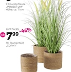 Blumentopf oder Kunstpflanze Angebote bei mömax Langenhagen für 7,99 €