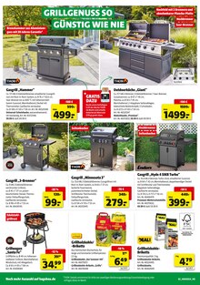 Grillkohle im aktuellen Hagebaumarkt Prospekt (Oberhausen) Grillkohle im Hagebaumarkt Prospekt "HIER GRILLT DEIN BESTPREIS" mit 18 Seiten (Oberhausen)