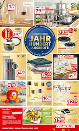 Aktueller Segmüller Prospekt mit Akku, "SEGMÜLLER SUPER SOMMER", Seite 8