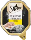 Katzenahrung Angebote von Sheba bei EDEKA Rosenheim für 0,49 €