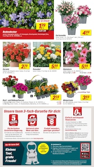 Blumen im toom Baumarkt Prospekt "Respekt, wer's selber macht." mit 30 Seiten (Oberhausen)