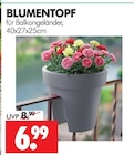Aktuelle Blumentopf Angebote bei Wreesmann in Dresden Aktuelles Blumentopf Angebot bei Wreesmann in Dresden ab 6,99 €