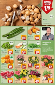 Pflanzen im REWE Prospekt "Dein Markt" mit 24 Seiten (Frankfurt (Main))
