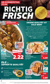 Schweinefleisch im Kaufland Prospekt "KNÜLLER" mit 66 Seiten (Potsdam)
