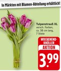 Tulpenstrauß XL bei EDEKA im Bietigheim Prospekt für 3,99 €