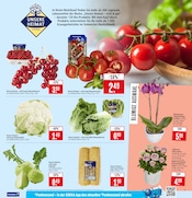 Aktueller Marktkauf Prospekt mit Orchidee, "Aktuelle Angebote", Seite 7