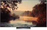 Aktuelle Fernseher Angebote bei expert in Siegen (Universitätsstadt) Aktuelles OLED evo Angebot bei expert in Siegen (Universitätsstadt) ab 1.899,00 €