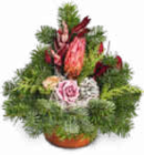 Grabschale im Angebot bei Netto Marken-Discount in Würzburg Grabschale Angebote bei Netto Marken-Discount Würzburg für 7,99 €