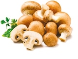 Aktuelles Kulturchampignons braun Angebot bei Netto mit dem Scottie in Dresden ab 1,09 €