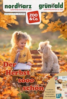 Aktueller Garten-Center Nordharz GmbH & Co. KG Prospekt (Braunschweig, 18 Seiten zum blättern Garten-Center Nordharz GmbH & Co. KG Prospekt Der Herbst sooo schön mit 18 Seiten