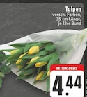 Tulpen im Angebot bei E center in Mettmann Tulpen Angebote bei E center Mettmann für 4,44 €