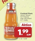 Tequila Sunrise im Angebot bei famila Nordwest in Lingen Tequila Sunrise Angebote von Cocktail Plant bei famila Nordwest Lingen für 1,99 €