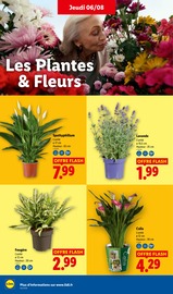Jardinage en promo dans le catalogue Lidl à la page 32