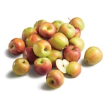 Promo Pomme Bicolore sachet à 2,97 € dans le catalogue Lidl à Thyez