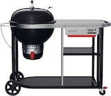 Barbecue Performer Premium D57 - Weber dans le catalogue Botanic