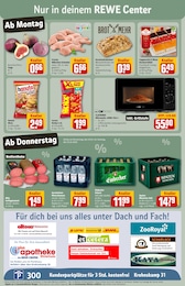 Silvesterfeuerwerk Angebot & Preis im aktuellen REWE Prospekt Silvesterfeuerwerk Angebot im aktuellen REWE Prospekt auf Seite 3