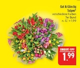 Aktuelles Tulpen Angebot bei Marktkauf in Leipzig ab 1,99 €