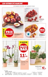 Plantes Angebote im Prospekt "Super U" von Super U Plantes Angebote im Prospekt "Super U" von Super U auf Seite 32
