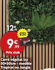 Carré végétal 50×50cm – modèle Tropical ou Jungle dans le catalogue Maxi Bazar