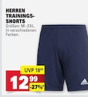 Herren Trainings-Shorts Angebote bei E center Mannheim für 12,99 €