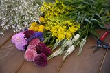 Promo Collection de vivaces "Bouquet maison" ECLOZ à 6,66 € dans le catalogue Gamm vert à Doazit