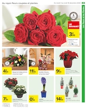 Orchidée Angebote im Prospekt "JOYEUX NOËL & MEILLEURS PRIX" von Carrefour auf Seite 23