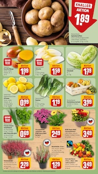 Chrysanthemen Angebot im REWE Prospekt, gültig von 21.09.2026 bis 26.09.2026 Chrysanthemen Angebot im aktuellen REWE Prospekt auf Seite 13