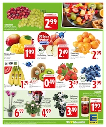 Kerzen im EDEKA Prospekt Kerzen im EDEKA Prospekt "SPAREN IST APP SACHE" auf Seite 3