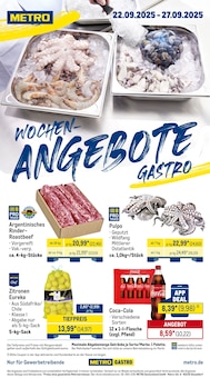 Rindfleisch im METRO Prospekt "Wochenangebote Gastro + Gewinnspiel + MonatsMenü" mit 42 Seiten (Ulm)