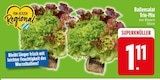 Ballensalat Trio-Mix im Angebot bei EDEKA in Straubing Ballensalat Trio-Mix Angebote bei EDEKA Straubing für 1,11 €