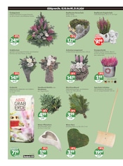 Aktueller V-Markt Prospekt mit Blumentopf, "V-Markt einfach besser einkaufen", Seite 16