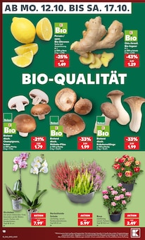 Champignons im aktuellen Kaufland Prospekt (Essen) Champignons im Kaufland Prospekt "Hier bin ich richtig" mit 80 Seiten (Essen)