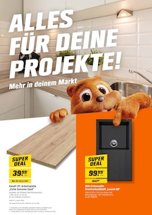 Pflanzen Angebot im OBI Prospekt, gültig von 01.08.2026 bis 31.08.2026 Pflanzen Angebot im aktuellen OBI Prospekt auf Seite 8