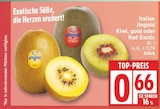 Kiwi Gold von Jingold im aktuellen EDEKA Prospekt
