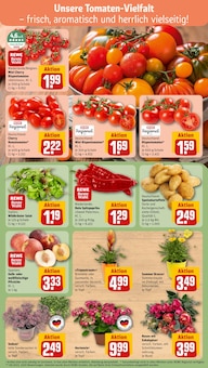 Pflanzen im aktuellen REWE Prospekt (Bochum) Pflanzen im REWE Prospekt "Dein Markt" mit 22 Seiten (Bochum)