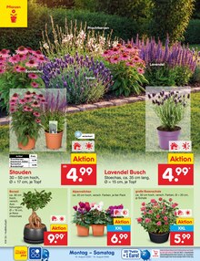 Pflanzen im aktuellen Netto Marken-Discount Prospekt (Bremerhaven) Pflanzen im Netto Marken-Discount Prospekt "Aktuelle Angebote" mit 77 Seiten (Bremerhaven)