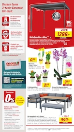 Aktueller toom Baumarkt Prospekt mit Tulpen, "Respekt, wer's selber macht.", Seite 2