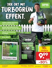 Rasendünger im Netto Marken-Discount Prospekt in Cuxhaven Aktueller Netto Marken-Discount Prospekt mit Rasendünger, "Aktuelle Angebote", Seite 37