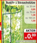 Busch- u. Strauchstütze bei Zimmermann im Nordhorn Prospekt für 0,89 €